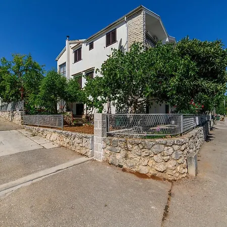 Maslina Sibenik