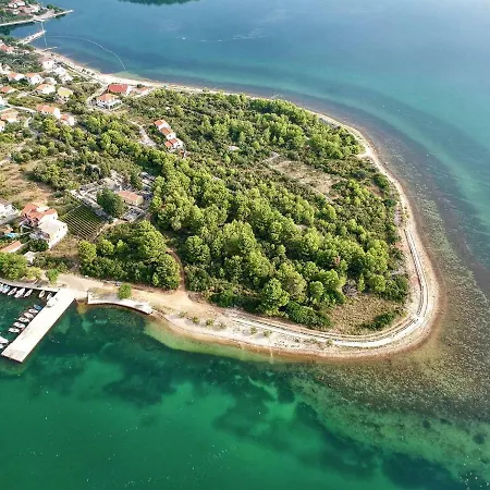 Maslina