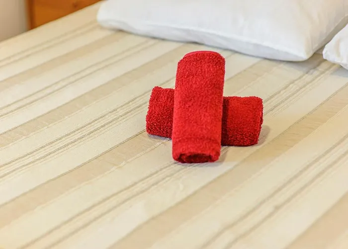 Apartman Maslina Šibenik