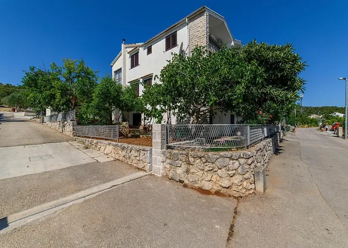 Maslina שיבניק